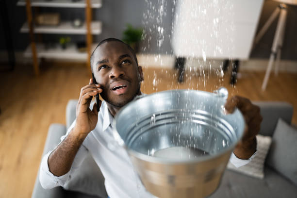 Best Water Damage Assessment and Inspection in Mount Olive, NC