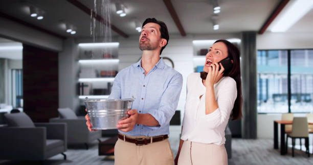 Best Odor Removal and Sanitization After Water Damage in Mount Olive, NC